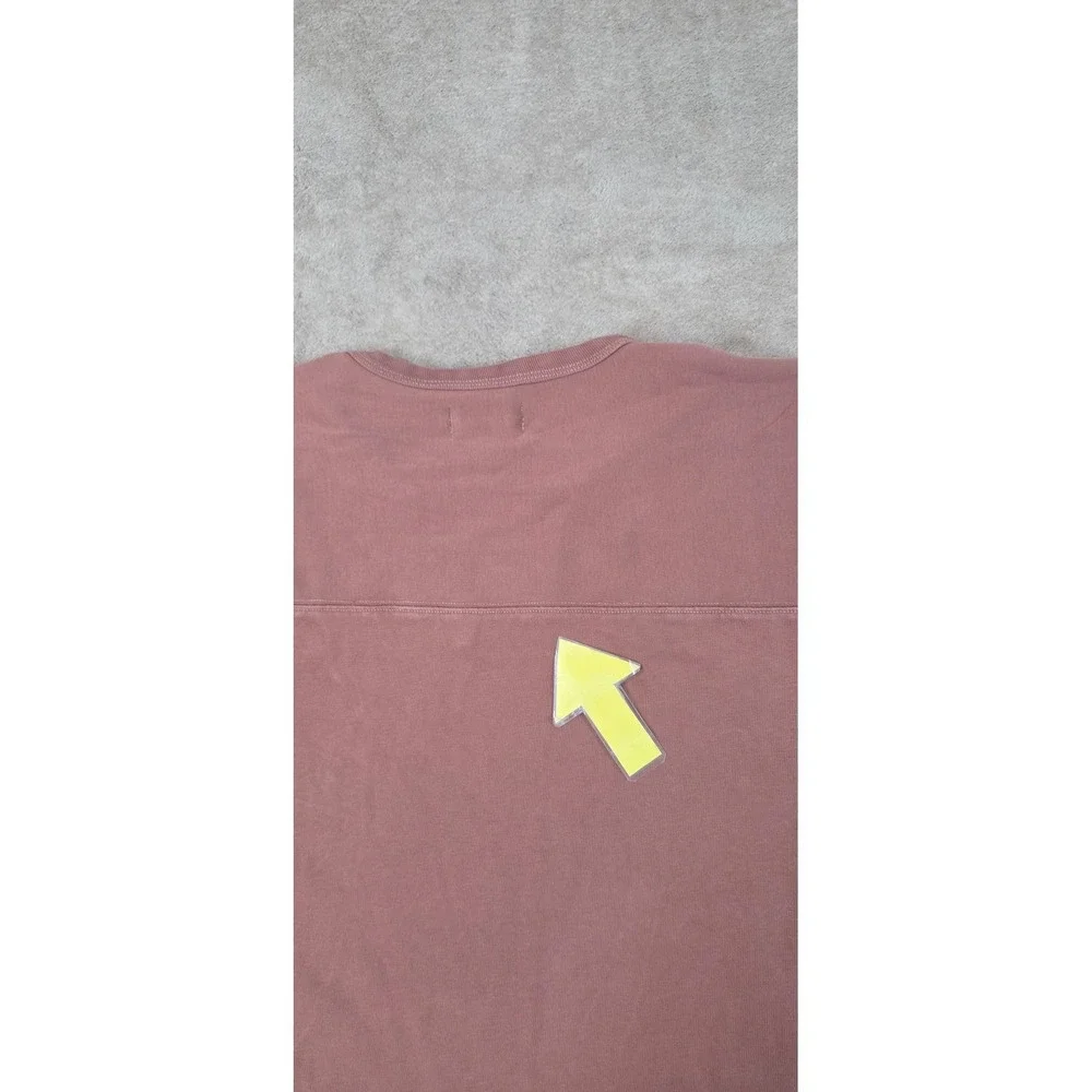 Taylor Stitch Heavyweight T Shirt Men's 44 XL Brown 100% Organic Cotton S/S GOOD